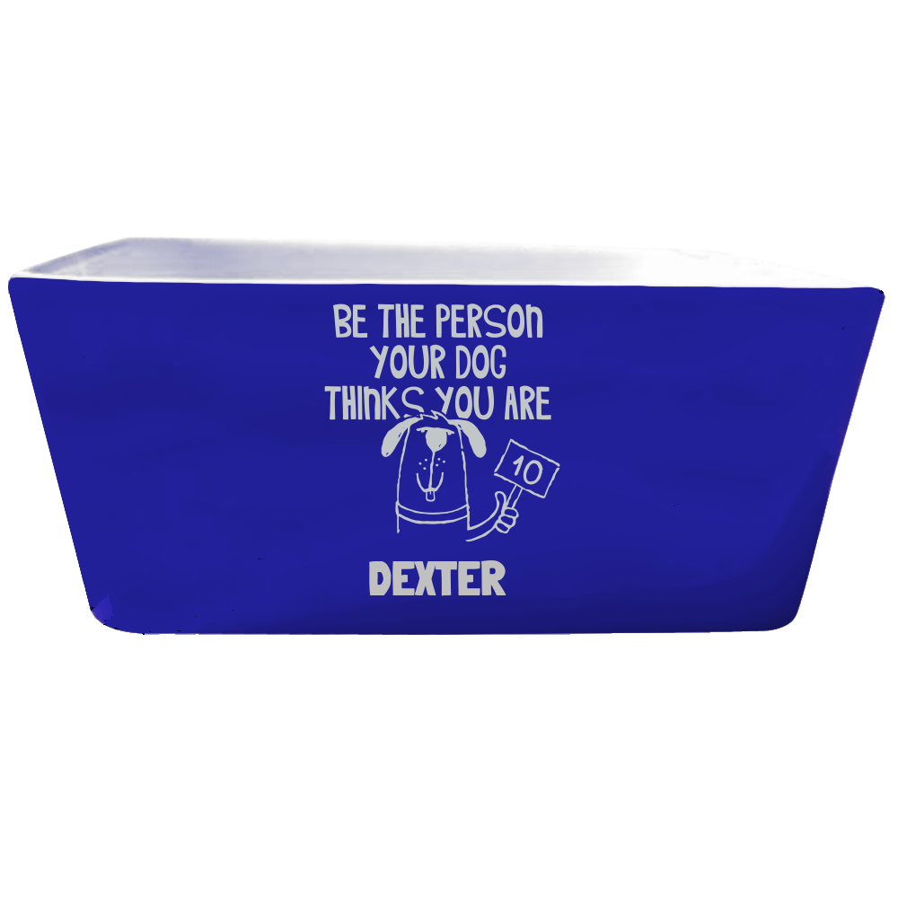 Be the Person Pet Bowls