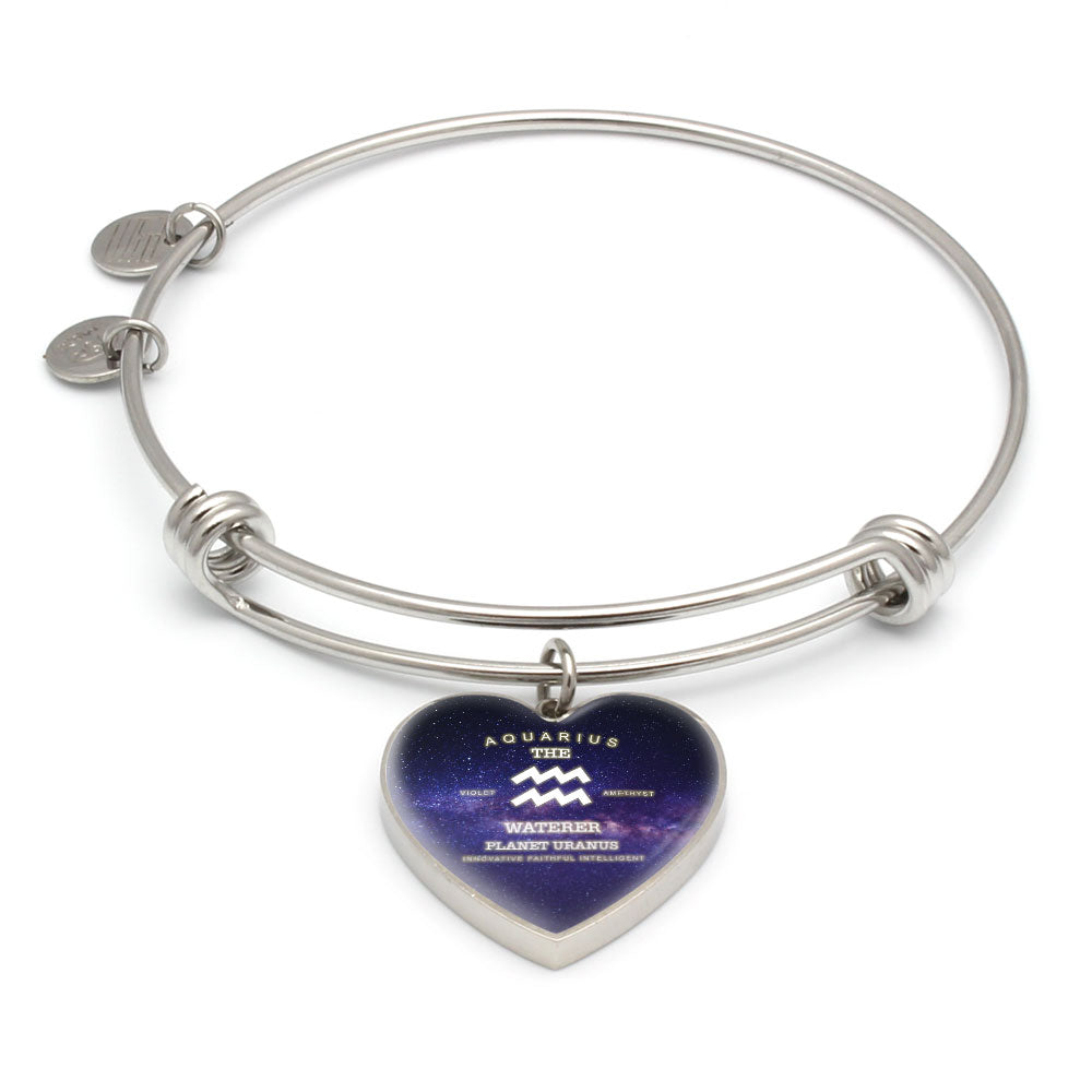 Aquarius Gold/Silver Zodiac Heart Bracelet